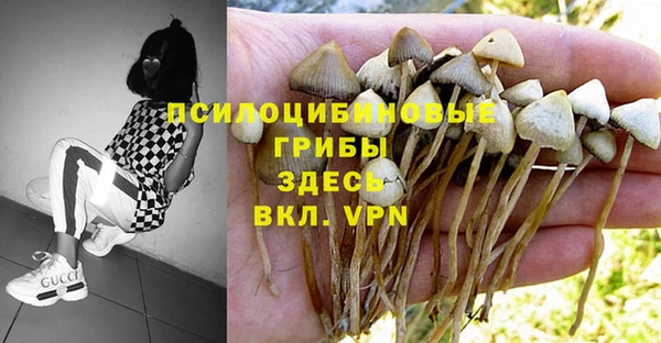 mix Алексеевка
