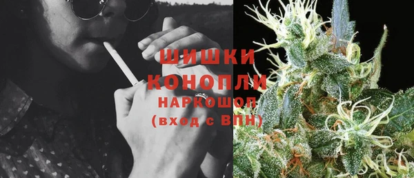 СК Алексин