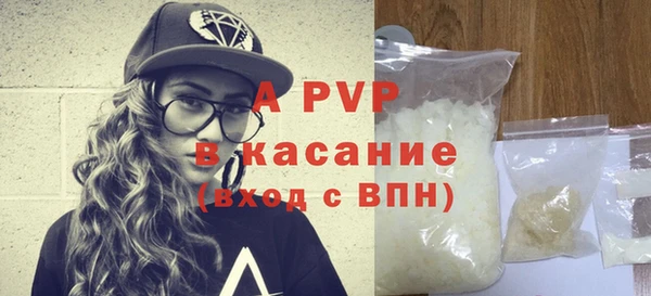 СК Алексин